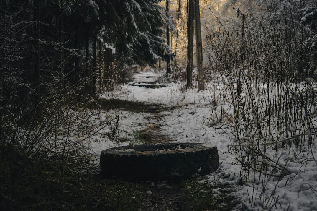 forest path with tire tracks